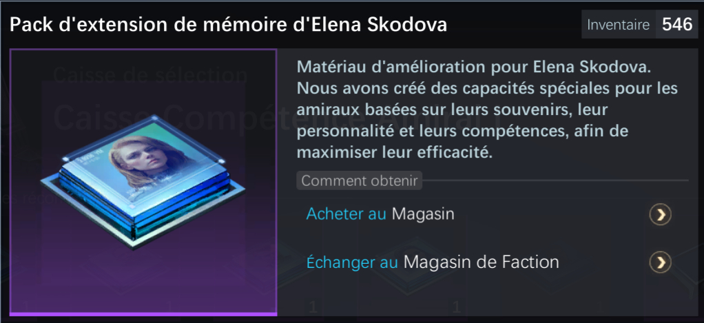 Extension mémoire Elena Skodova